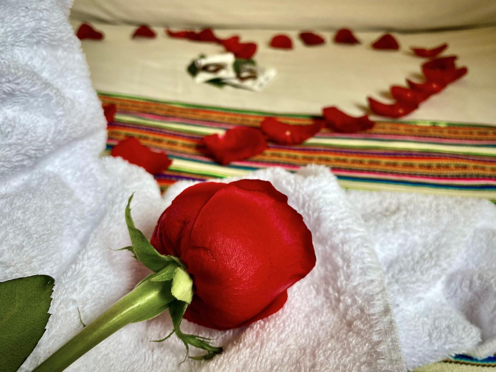 Andean Dreams Hotel كوسكو المظهر الخارجي الصورة